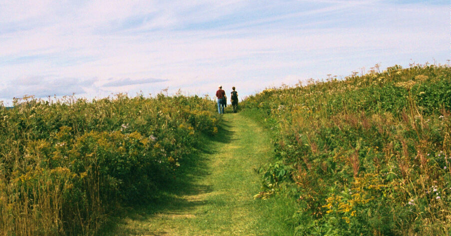 Walk across the Île d'Bonaventure