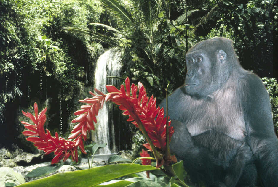 Bahati and Baby at the Falls