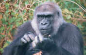 Helen doing her Nails