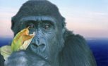 Mumbali enjoys a leafy snack